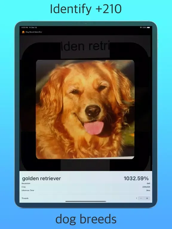 Dog Breed Identifier AI iPad  Screenshots